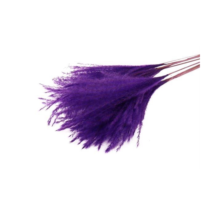 <h4>Bunch Fluffy Silver Grass 10pcs L75</h4>