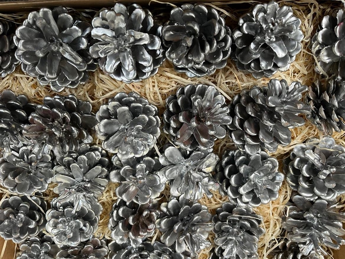 <h4>Dennenappel Wax Zilver</h4>