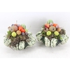 arr4 Sierfruit PP - Pattison x6 mix