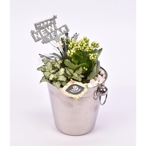 Champagnekoeler zilver 14 cm