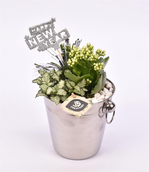 <h4>Champagnekoeler zilver 14 cm</h4>