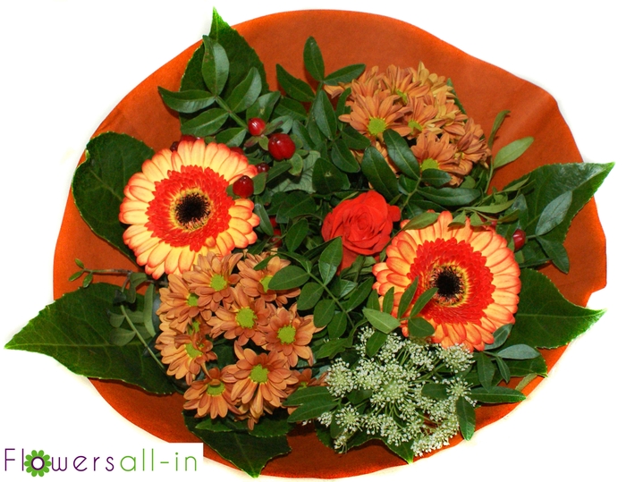 <h4>202307- oranje</h4>