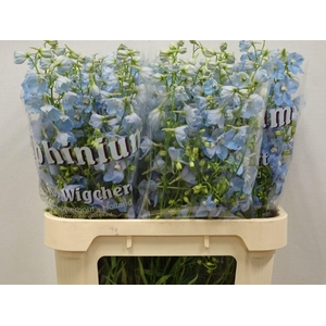 Delphinium Ballkleid Light Blue