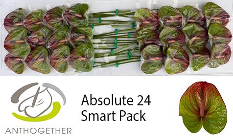 <h4>ANTH A ABSOLUTE 24 Smart Pack</h4>