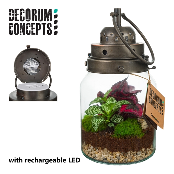 <h4>Terrarium Stormlamp met oplaadbare LED lamp (Decorum concepts)</h4>