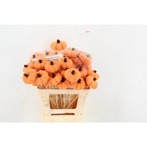 Stick Pumpkin Velvet 8cm Orang