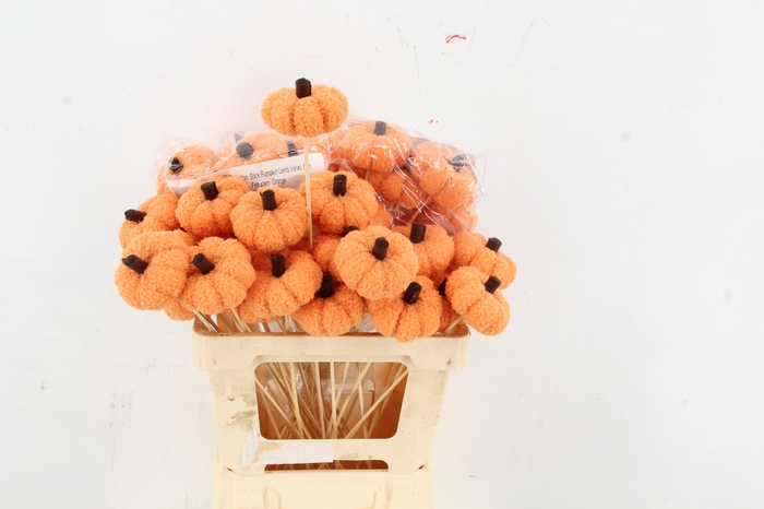 <h4>Stick Pumpkin Velvet 8cm Orang</h4>