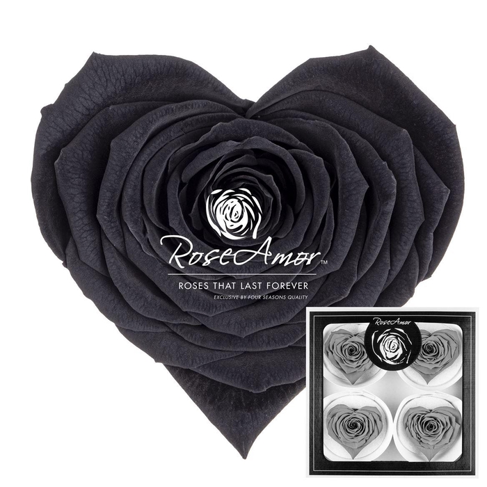 <h4>Corazon Bella Bla01</h4>