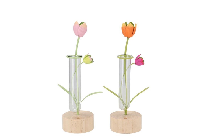 <h4>Xelly Colourfull Metal Rack Tulip Vase Ass 7x7x23</h4>