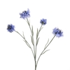 AF Centaurea x4 L59cm Blue