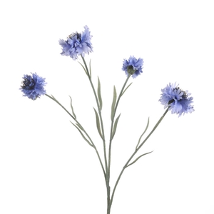 Af Centaurea X4 L59cm Blue