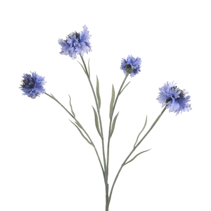 <h4>Af Centaurea X4 L59cm Blue</h4>