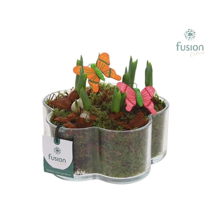 Glazen Bloemschaalmet Tulipa