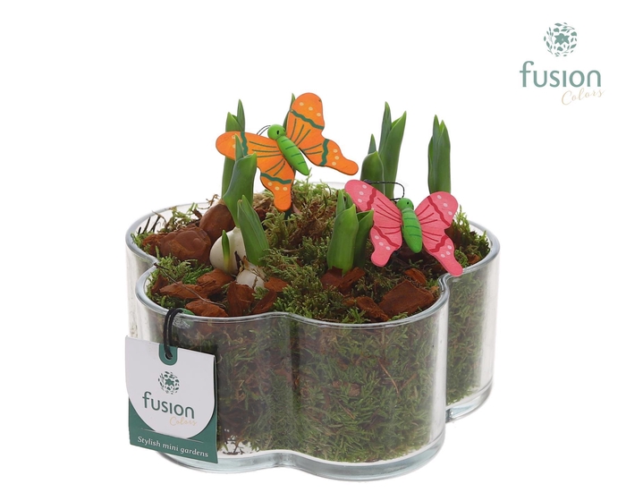 <h4>Glazen Bloemschaalmet Tulipa</h4>