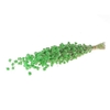 Bunch Weeping Bamboo 80g Slv L45