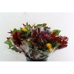 Bqt Autumn Mix
