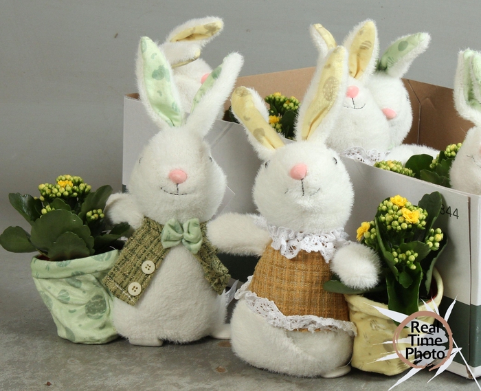 <h4>ARR KAMERPL</h4>