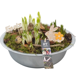 Arr.   Tuinplanten L%