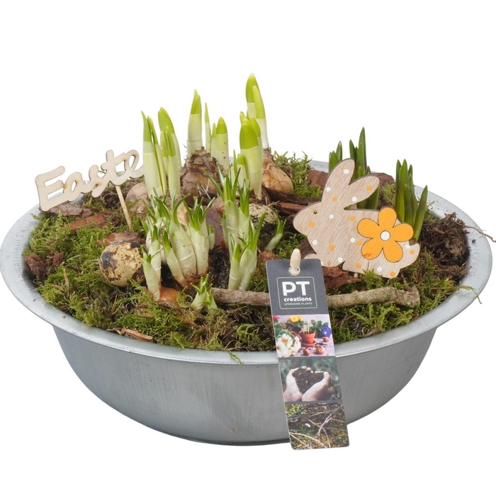 <h4>Arr.   Tuinplanten L%</h4>