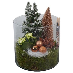 Opm Pt PTCHB9882 X-mas Bronze Glas Pot