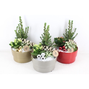 arr2 PL - Ker. pot ro/zi/go mix 285/5 - rood/wit