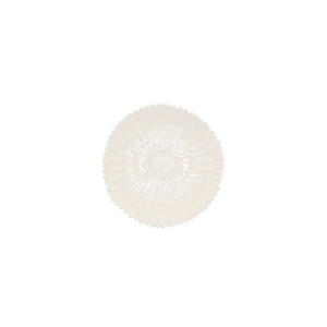 Bloom Daisy Plate White 11x11x2cm