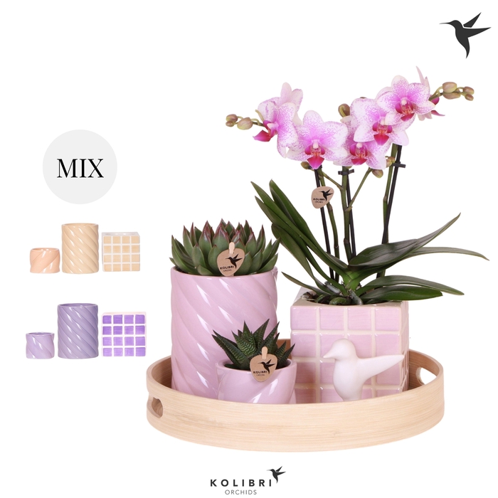 <h4>Kolibri Gift Set Optimism</h4>