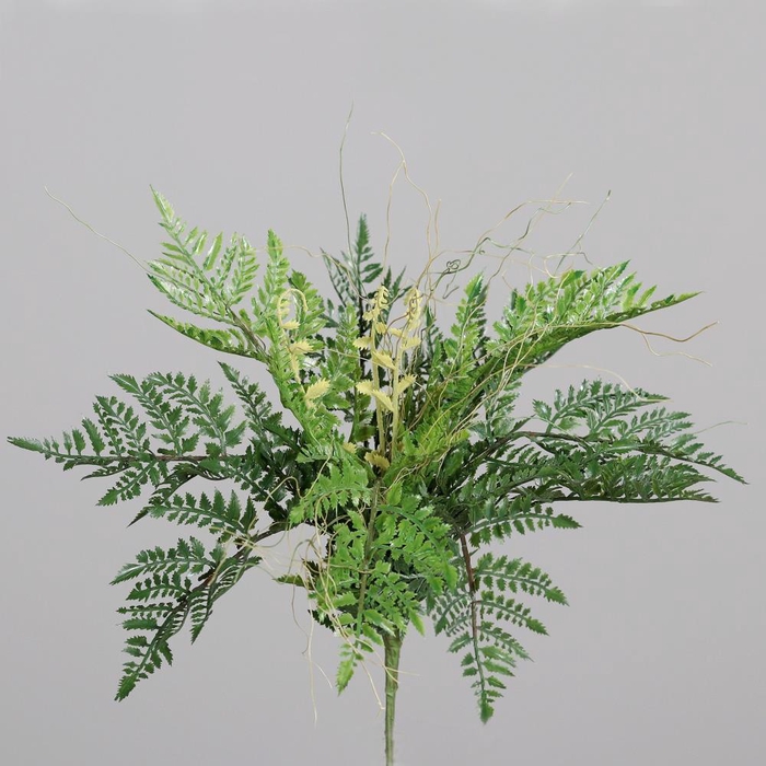 <h4>Af Fern Pick 40cm Green</h4>