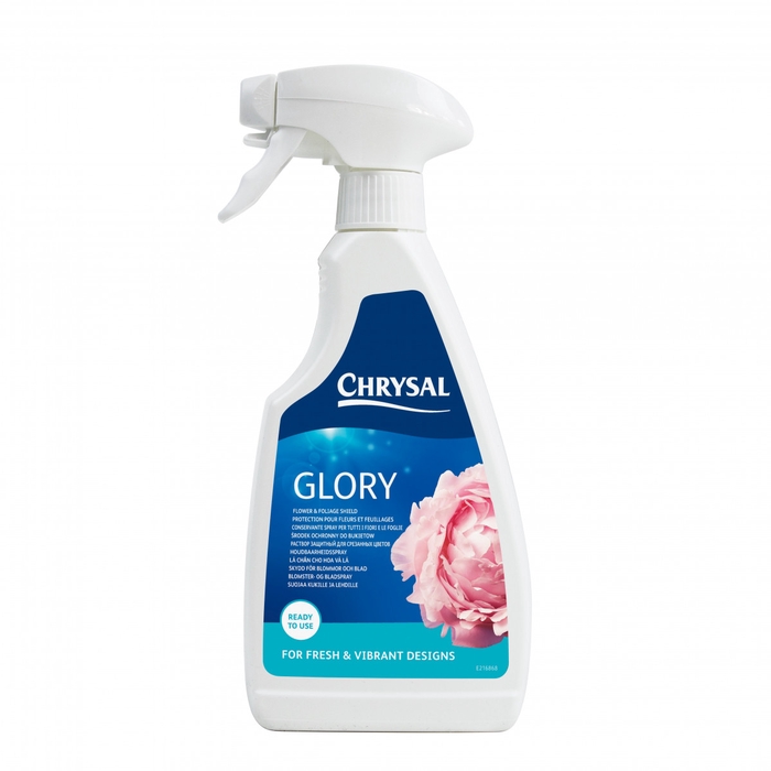 <h4>Verzorging Chrysal Prof. Glory 500ml</h4>