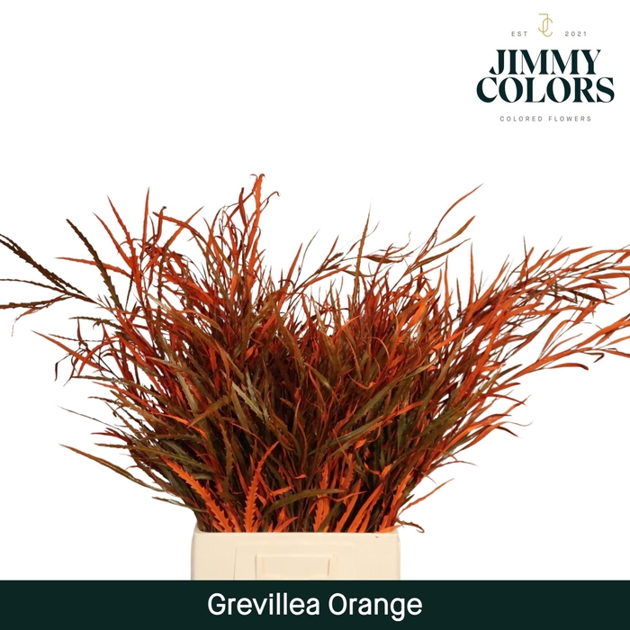 <h4>Grevillea (bunch) Orange</h4>