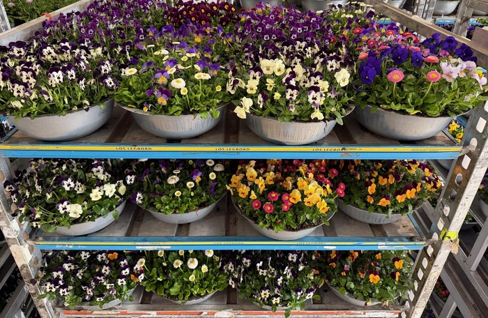 <h4>OVERIGE PERKPL</h4>