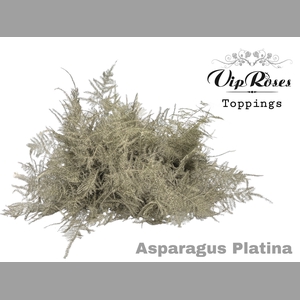 ASP OV 1E VEREN PLATINA