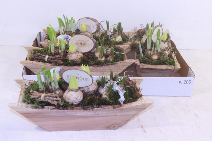 <h4>ARR BOL KNOLGEWAS</h4>