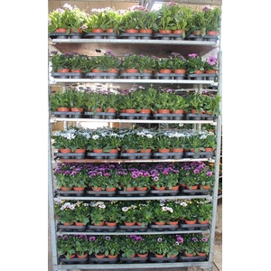 OSTEO MIXSHELVE