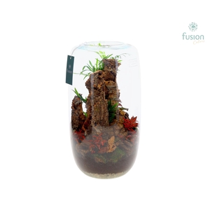 Green Bottle Isabella XXLarge met arrangement