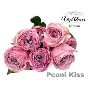 R GR PEONI KISS