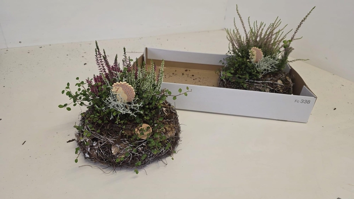 <h4>ARR TUINPLANTEN</h4>