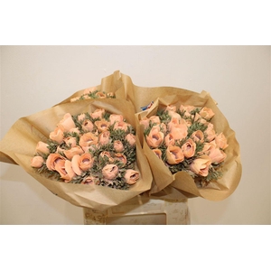 Anem Marianne Powder Orange