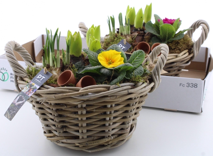 <h4>ARR PL IN SCHAAL</h4>