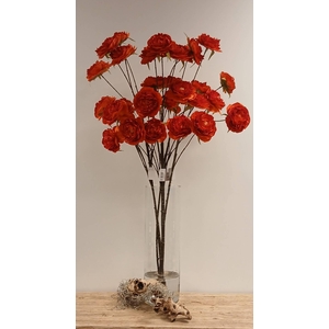 Cabbage Rosa Spray Orange