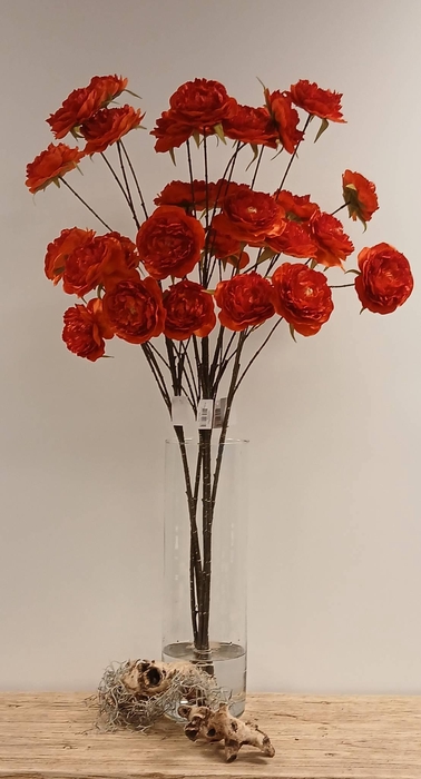 <h4>Cabbage Rosa Spray Orange</h4>