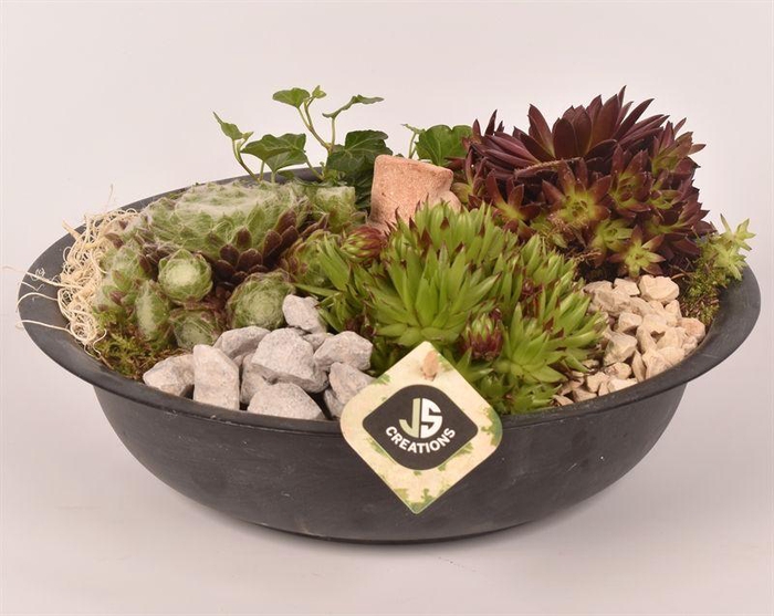 <h4>Zink schaal antriciet 29cm</h4>