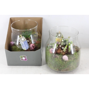 arr4 Bollenmix PL - Glas in giftbox