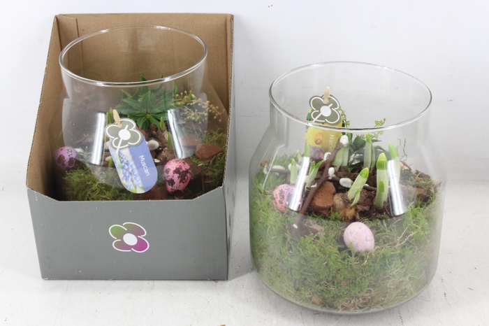 <h4>arr4 Bollenmix PL - Glas in giftbox</h4>