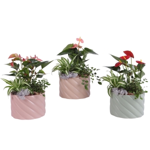 Yearround Arr. Indoor Ceramic Soft Elegance SE661 Ø17cm 3PP