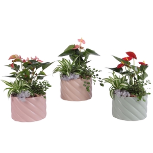 Yearround Arr. Indoor Ceramic Soft Elegance SE661 Ø17cm 3PP