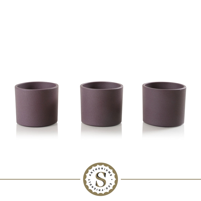 <h4>Creations) Keramiek Bari Purple</h4>