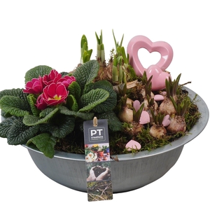 PTVO3618 Arrangement Valentine Outdoor in metalen schaal