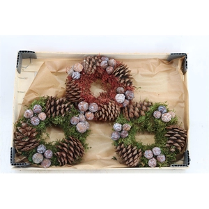Wr Autumn Nature 20cm