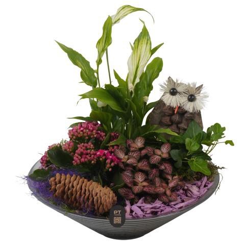 <h4>PTHG8263 Arrangement Autumn Glass in glas schaal</h4>